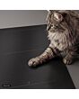 PVQ81AH26E Series 6, Induction hob with integrated ventilation system, 80 cm, Matt black