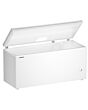 Liebherr CFE2500 Chest Freezer