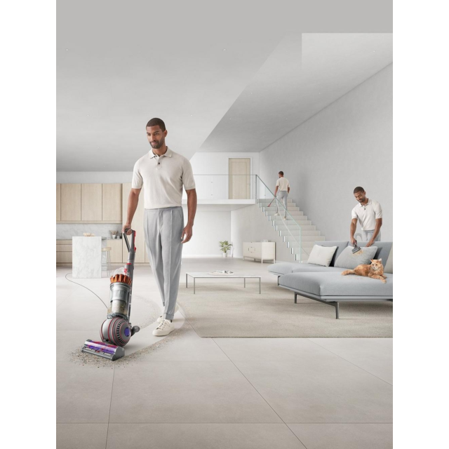 Dyson BALLANIMALMFNEW Ball Animal Multi-Floor Upright Vacuum Cleaner - Silver