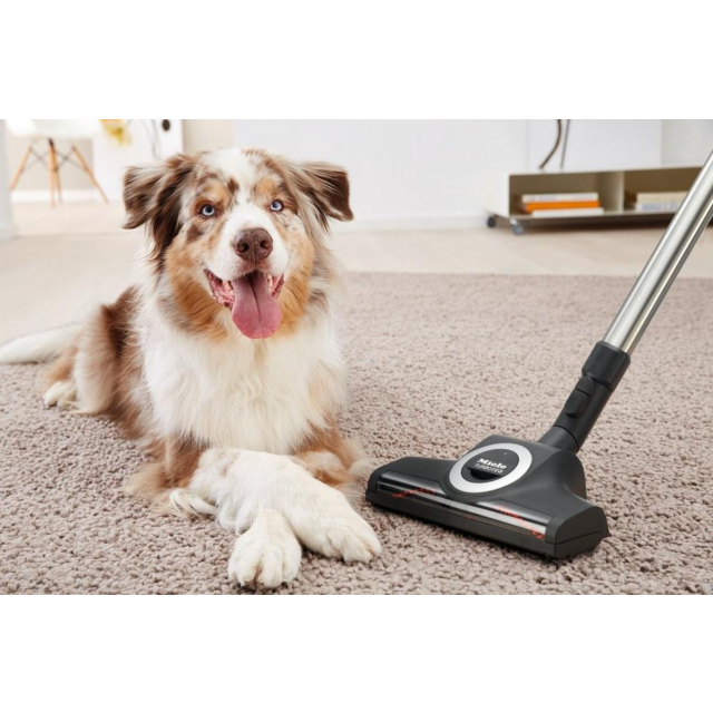 Miele CX1BLIZ_CAT_DOG Blizzard Comfort Cat + Dog Cylinder Vacuum Cleaner - Grey