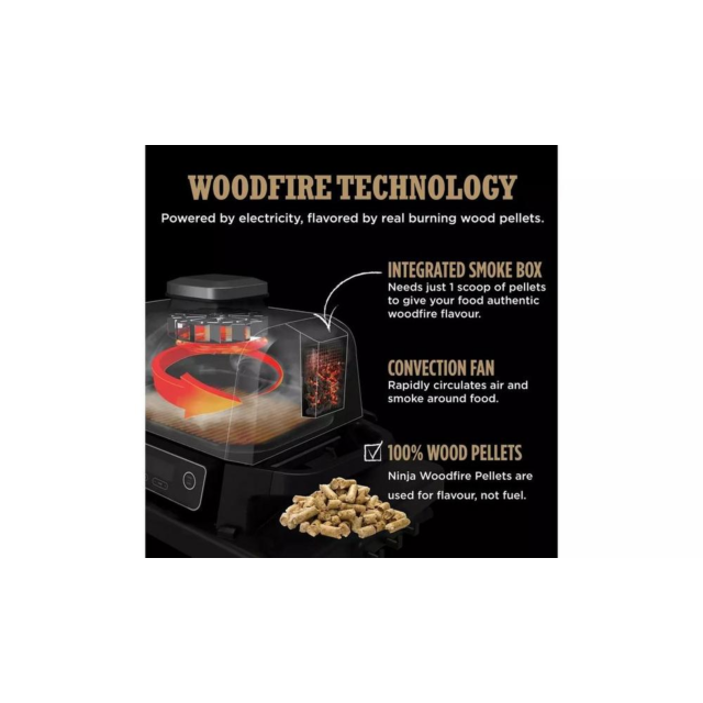 Ninja OG701UK Woodfire Electric Bbq Grill & Smoker